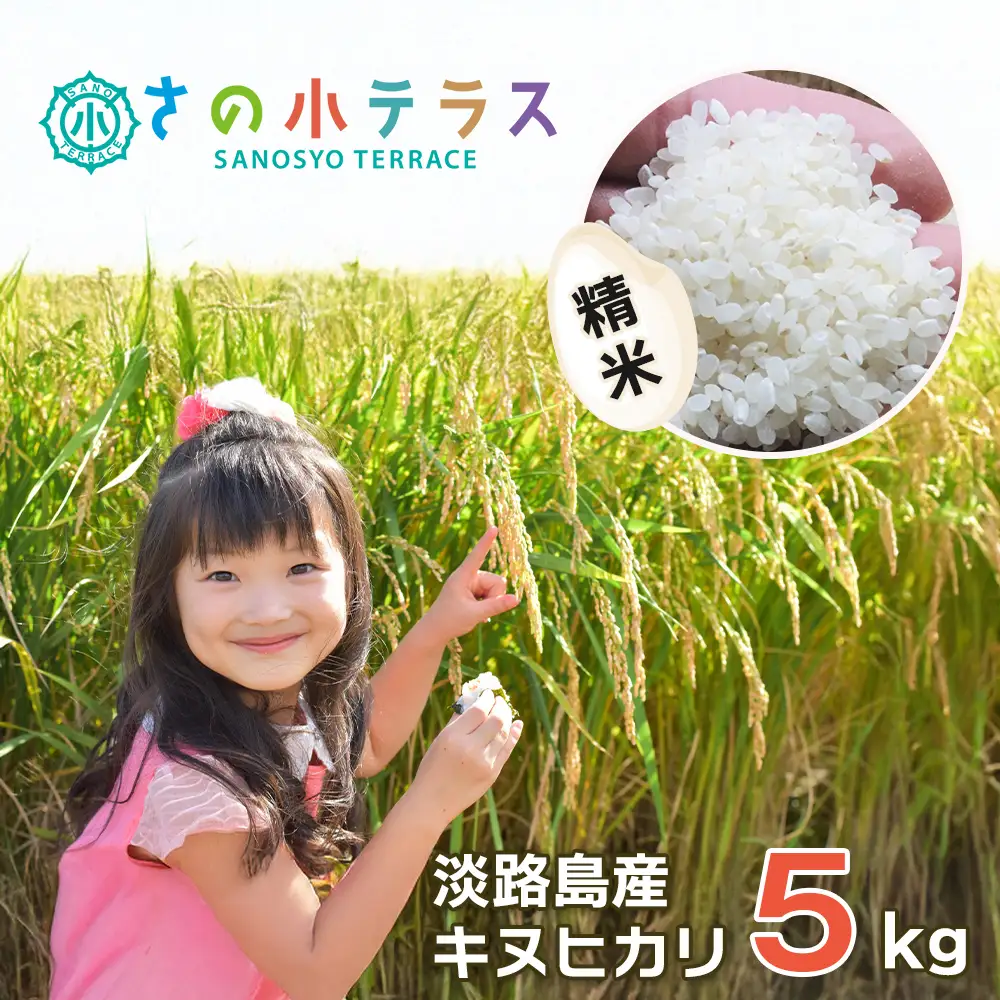 淡路島産キヌヒカリ 5kg （白米）