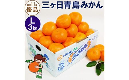三ヶ日青島みかん【優品】Lサイズ 3kg (23個前後) ミカン 果物 くだもの フルーツ 甘い 静岡 浜松市【配送不可：北海道・沖縄・離島】