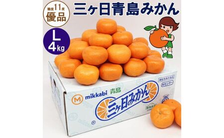 三ヶ日青島みかん【優品】Lサイズ 4kg (30個前後) ミカン 果物 くだもの フルーツ 甘い 静岡 浜松市【配送不可：北海道・沖縄・離島】