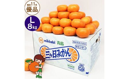 三ヶ日青島みかん【優品】Lサイズ 8kg (60個前後) ミカン 果物 くだもの フルーツ 甘い 静岡 浜松市【配送不可：北海道・沖縄・離島】