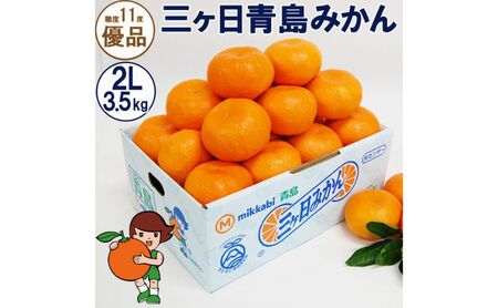 三ヶ日青島みかん【優品】2Lサイズ 3.5kg (20個前後) ミカン 果物 くだもの フルーツ 甘い 静岡 浜松市【配送不可：北海道・沖縄・離島】