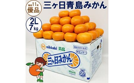 三ヶ日青島みかん【優品】2Lサイズ 7kg (40個前後) ミカン 果物 くだもの フルーツ 甘い 静岡 浜松市【配送不可：北海道・沖縄・離島】