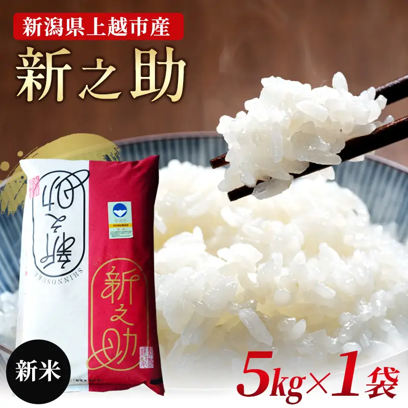 特別栽培米 新之助 5kg 上越産 おにぎり 新之助