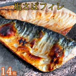 塩さばフィレ14枚入(真空パック入)◇｜さば さば さば さば さば