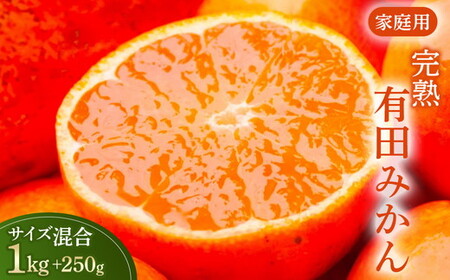 有田みかん 家庭用 完熟 1kg+250g（傷み補償分）サイズ混合 ｜ みかん