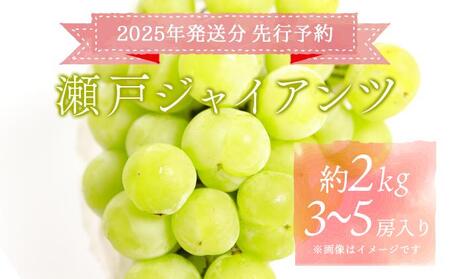 ＜2025年発送分 先行予約＞ 瀬戸ジャイアンツ（3房～5房入り 約2kg）【030-a013】
