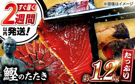 【最速発送】鰹たたき　約1.2kg / 鰹 たたき 鰹たたき 鰹のたたき 鰹 たたき 鰹たたき 鰹のたたき [ATAX016]　スピード 最短 最速 発送