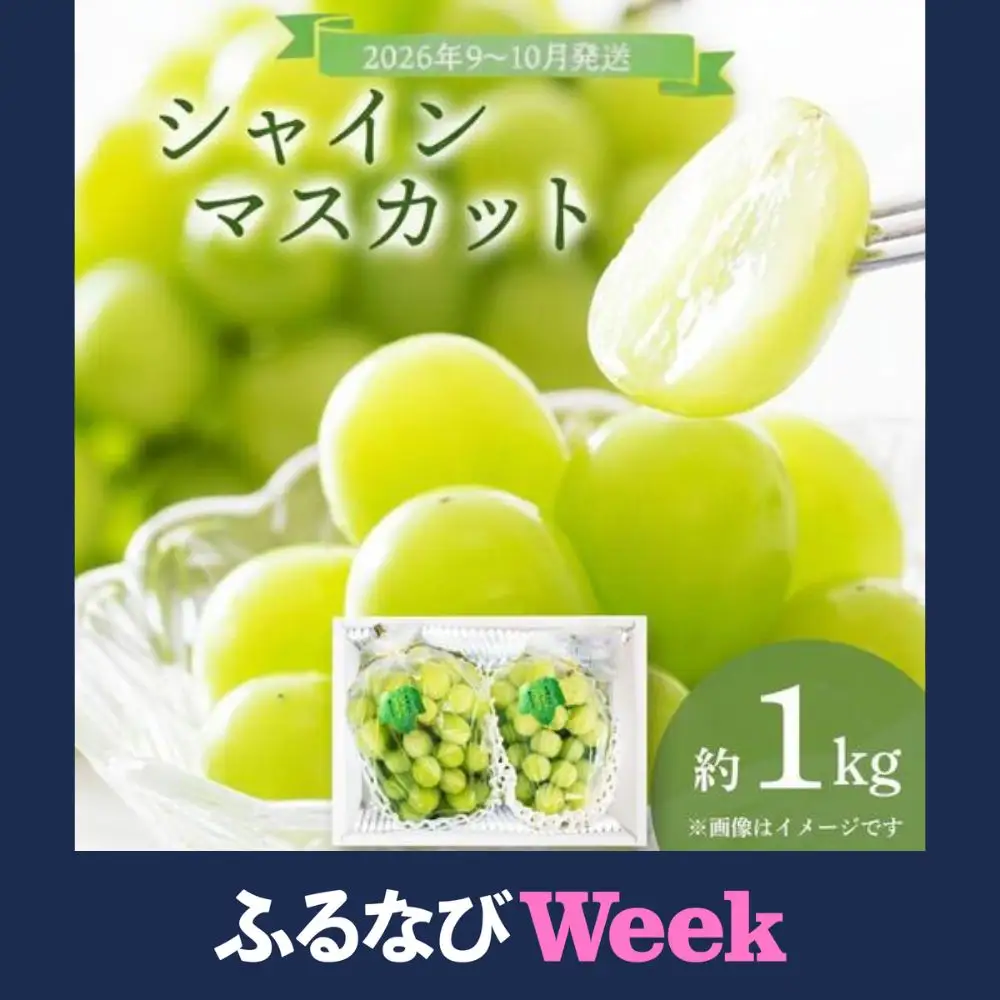 【ふるなびWEEK対象】＜2026年発送分 先行予約＞9月～10月発送シャインマスカット1kg箱【029-a011】