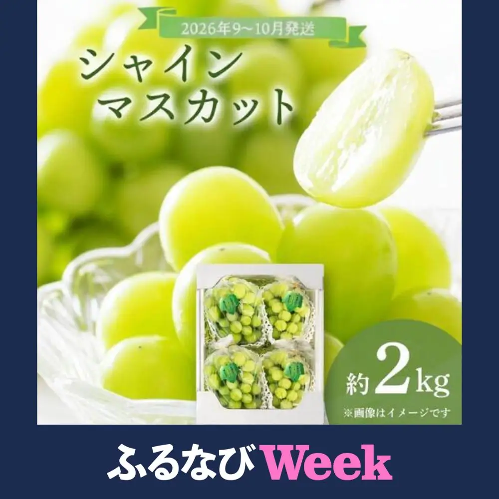 【ふるなびWEEK対象】＜2026年発送分 先行予約＞9月～10月発送シャインマスカット2kg箱【029-a012】
