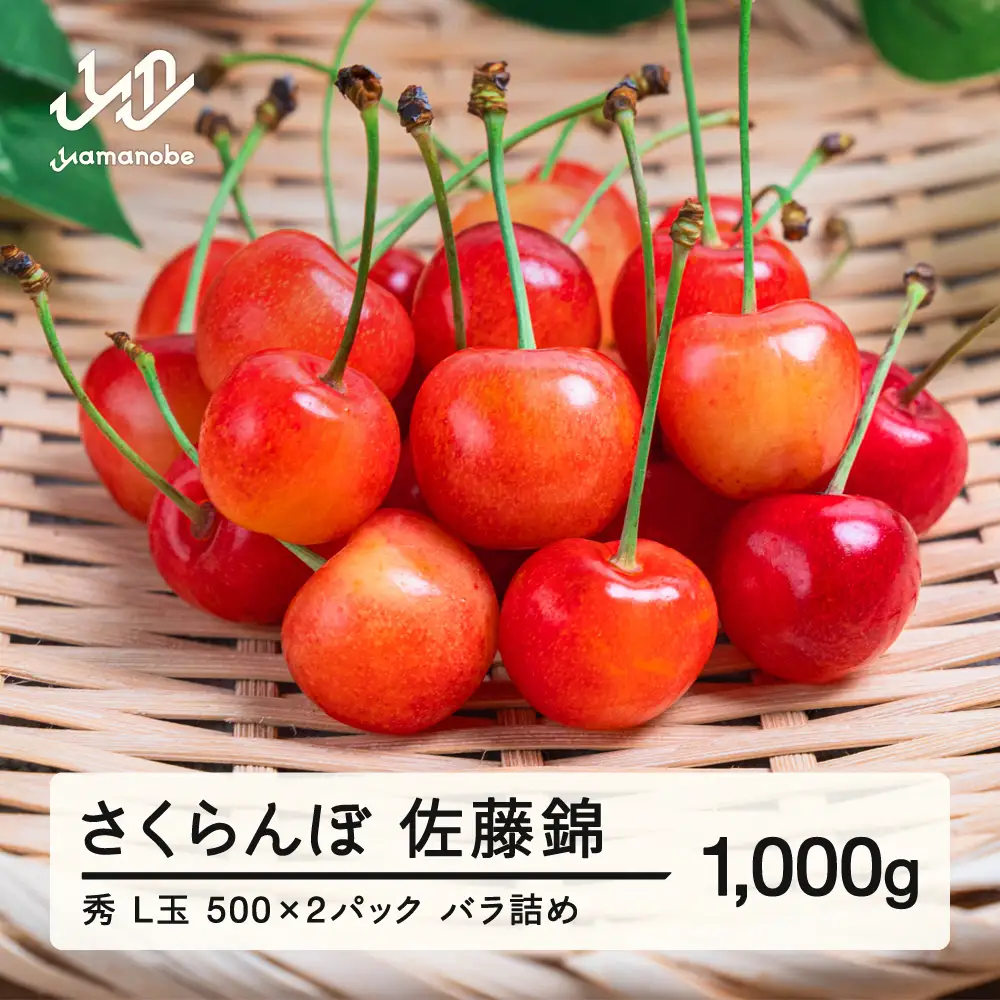 【先行予約】さくらんぼ 佐藤錦 秀品 L玉 500g×2パック 2027年産 令和9年産 山形県産 mm-snpsx1000