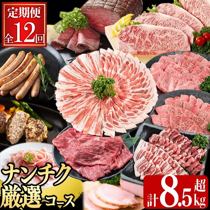 【定期便・全12回】ナンチクのお肉を楽しむ定期便！ナンチク厳選コース！ 総量8.5kg超! t0165-002