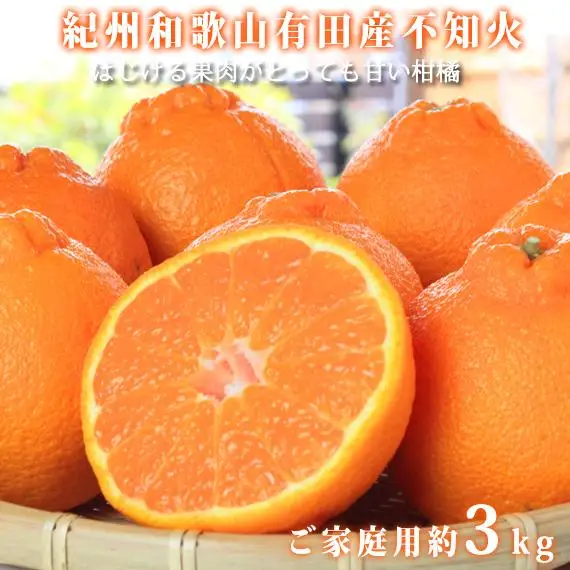 ［ご家庭用訳あり］紀州有田産不知火(しらぬひ) 約3kg［2027年2月中旬以降発送］［先行予約］［UT135］