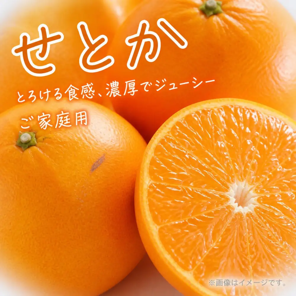 紀州有田産せとか約3kg［ご家庭用］　とろける食感！ジューシー柑橘［2027年2月下旬以降発送］［先行予約］［UT133］