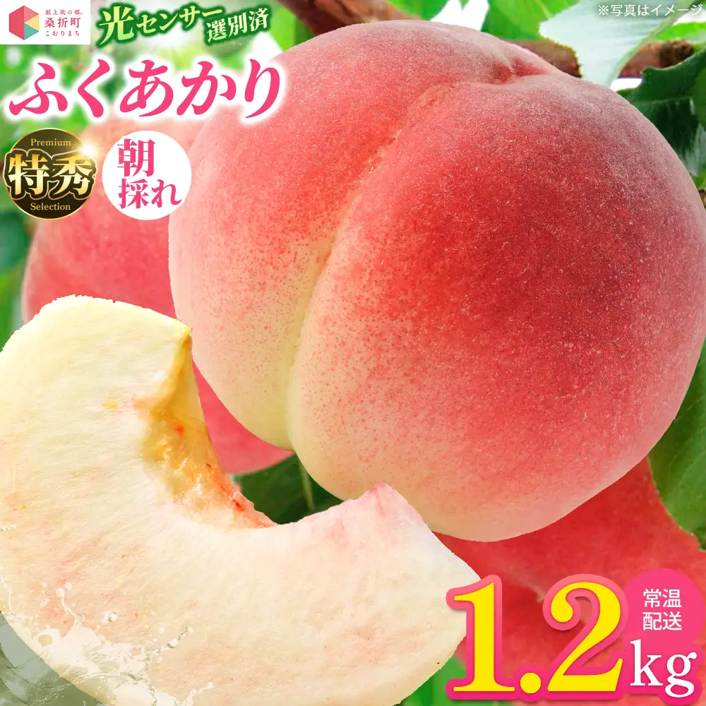 もも【ふくあかり・2027年産先行予約】特秀1.2kg　桑折町産　JAふくしま未来　桃 ／ もも モモ 果物 フルーツ 旬 甘い 甘み ジューシー 果肉 果汁 新鮮 フレッシュ デザート おいしい 産地直送 桑折 こおり こおりまち 福島県 特産品 【07301-0223】