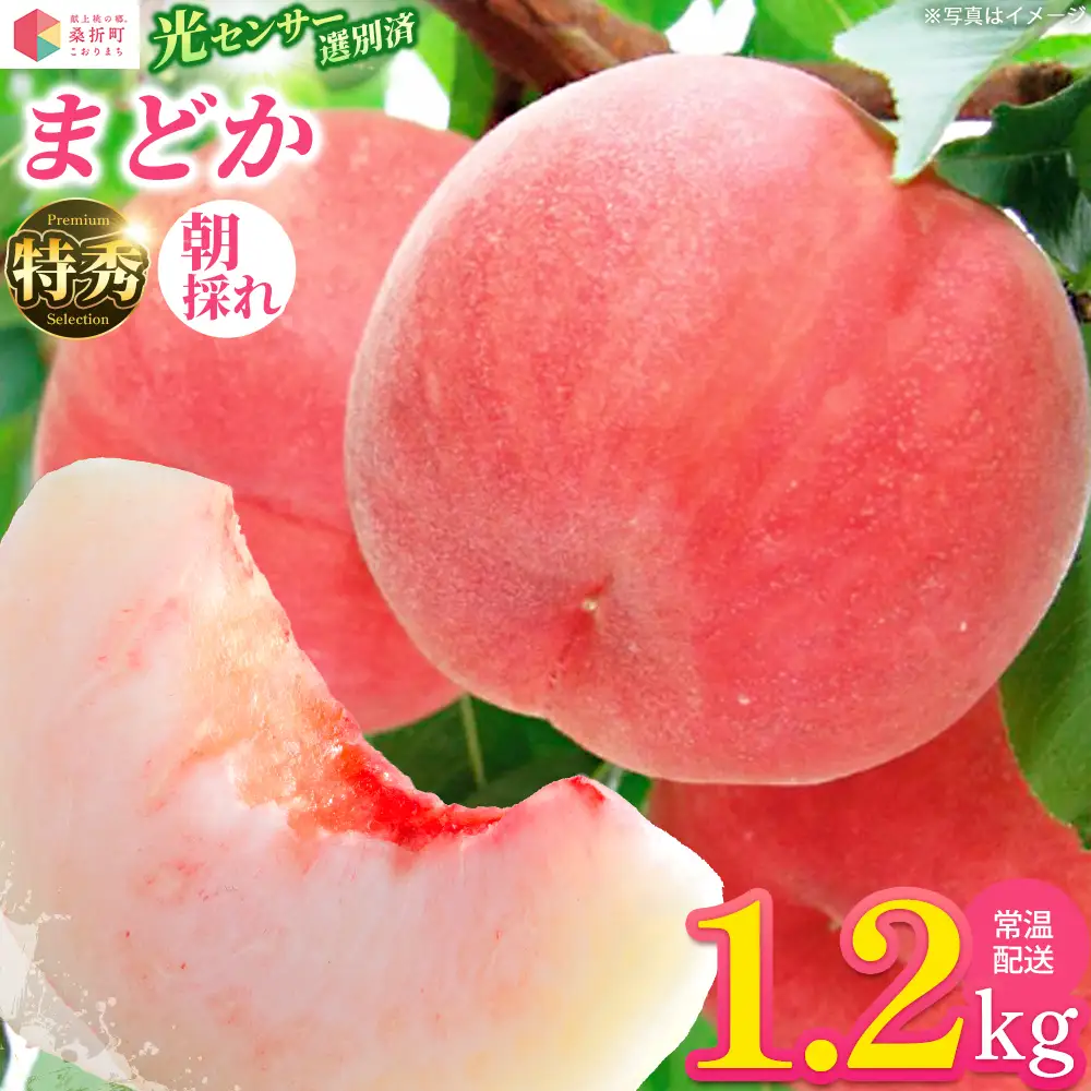 もも【まどか・2026年産】特秀1.2kg　桑折町産　JAふくしま未来　桃　献上桃の郷　【07301-0225】
