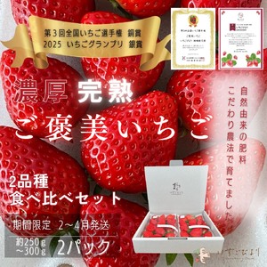 完熟いちご食べ比べセット品種おまかせ　滋賀県愛荘町産　2026年２月?2026年４月頃発送 BJ01