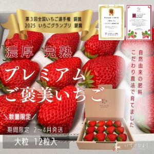完熟いちご大粒ギフトボックス 品種おまかせ　滋賀県愛荘町産 2026年２月?2026年４月頃発送 BJ02