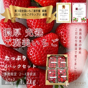 完熟いちご 約250?300g×4パック 品種おまかせ　滋賀県愛荘町産　2026年２月?2026年４月頃発送 BJ07