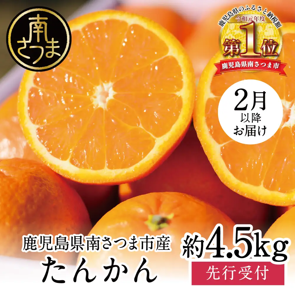 【2027年2月中旬発送開始】たんかん 約4.5kg 果物 フルーツ 柑橘 みかん 鹿児島県産