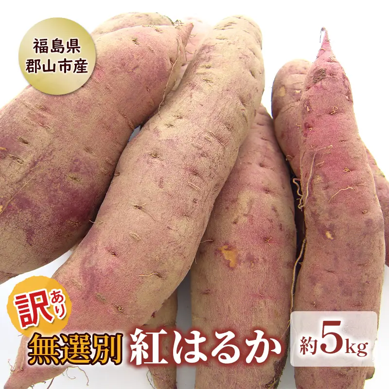 さつまいも 紅はるか 訳あり無選別 熟成 さつまいも【5kg】