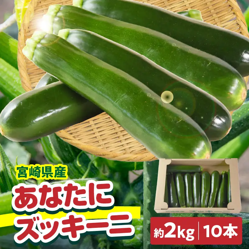 野菜ソムリエサミット銀賞受賞！ あなたにズッキーニ約2kg（10本）_kn109-001
