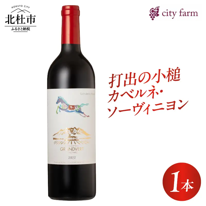 打出の小槌 カベルネ・ソーヴィニヨン 2022　1本　ワイン 赤ワイン カベルネ・ソーヴィニヨン 2022 750ml 1本 数量限定 赤 国産ワイン 山梨県産 白州産 北杜市産 完熟  黒系果実 オーク樽 樽香 タンニン 酸味 料理に合う 記念日 贈り物 プレゼント [h135]