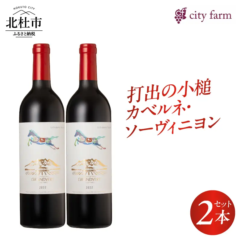 打出の小槌 カベルネ・ソーヴィニヨン 2022　2本　ワイン 赤ワイン カベルネ・ソーヴィニヨン 2022 750ml 2本 数量限定 赤 国産ワイン 山梨県産 白州産 北杜市産 完熟  黒系果実 オーク樽 樽香 タンニン 酸味 料理に合う 記念日 贈り物 プレゼント [h135]