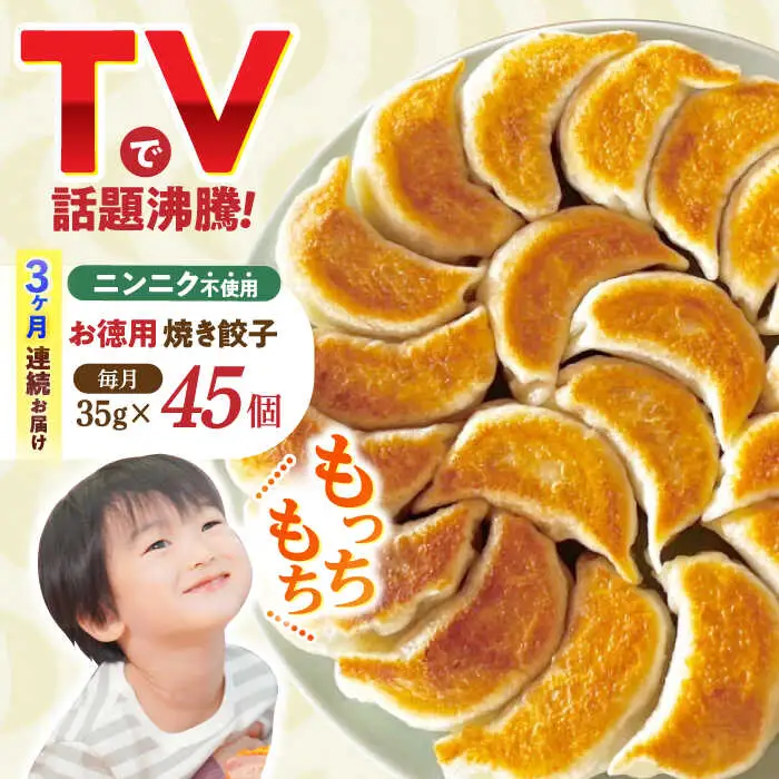 【3回定期便】《餃子のかわしも》かわしも焼き餃子お徳用45個入りパッケージ [AHBM006]