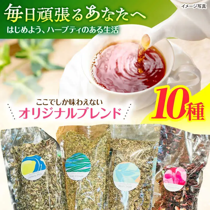 ブレンドハーブティ　50g×10種類　/　ハーブ　ハーブティー　お試し　ペパーミント　カモミール　/　諫早市　/　一般財団法人　小長井振興公社 [AHDK005]