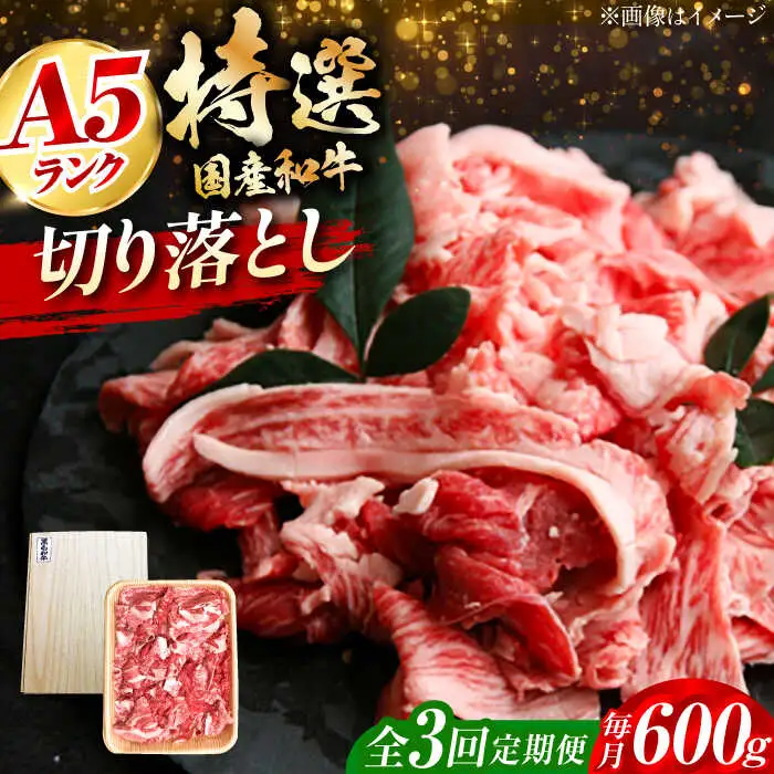 【全3回定期便】国産和牛切落し 600g[AOAI023] 牛肉切り落とし