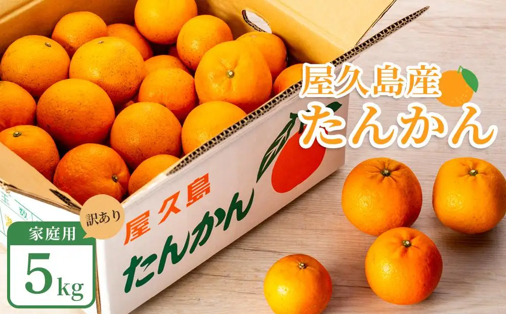 2025年 屋久島産たんかん 家庭用 訳あり 約5kg(S～2Lサイズ・少々キズあり)＜先行予約／数量限定＞【 たんかん】