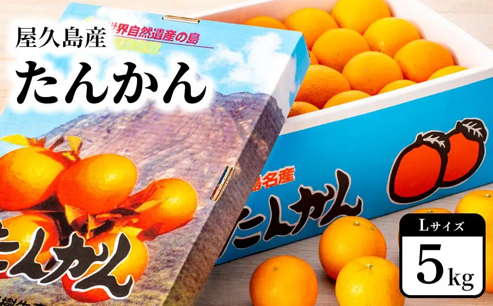 2027年発送 屋久島産たんかん 約5kg・Lサイズ＜先行予約／数量限定＞