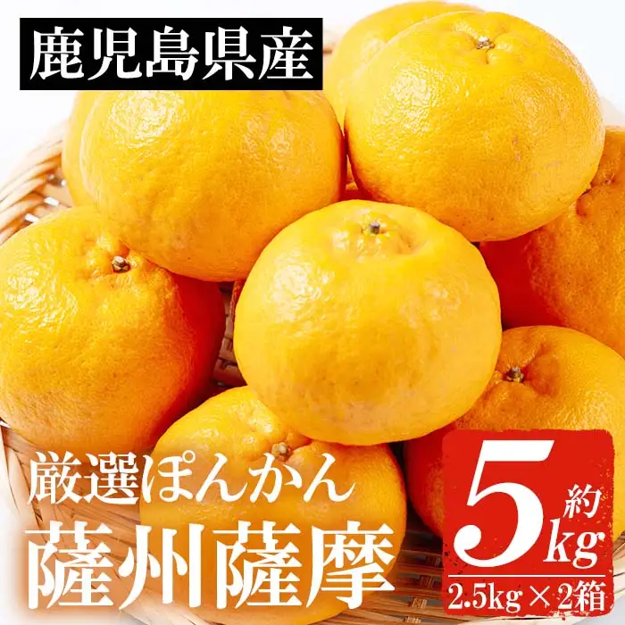 ＜先行予約＞＼数量・期間限定／本格貯蔵 ぽんかん 薩州薩摩 約5kg ぽんかん【01-039-04】