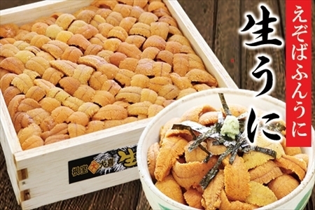 エゾバフンウニバラ詰め600g×1折[11月中旬以降発送] D-73006