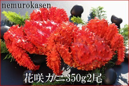 【北海道根室産】花咲ガニ350g×2尾 B-57028