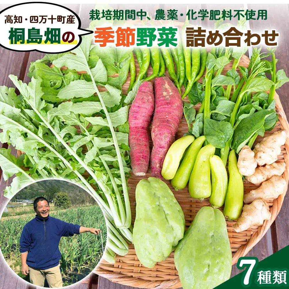 【栽培期間中、農薬・化学肥料不使用】桐島畑の季節野菜詰め合わせ(7種類) Fkh-10 ／ やさい 国産野菜 四万十 高知 季節 フレッシュ 旬 無農薬 有機農業