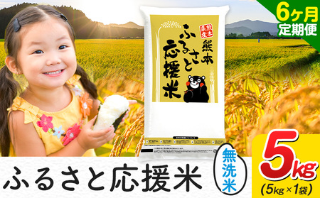 【6ヶ月定期便】米 無洗米 家庭用 熊本 ふるさと応援 定期便 米 5kg《お申込み翌月から出荷》