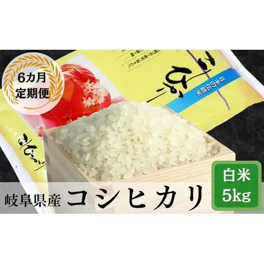 ≪令和7年産≫【6か月定期便】岐阜コシヒカリ5kg
