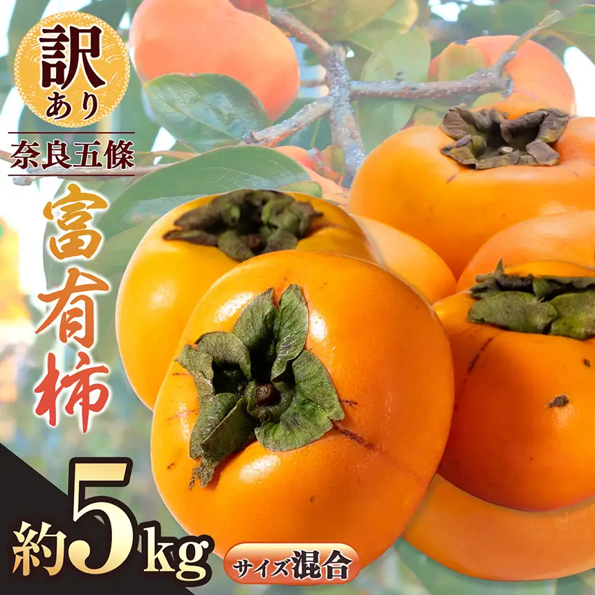 訳あり 富有柿 約5kg サイズおまかせ | フルーツ くだもの 果物 柿 かき カキ 奈良県 五條市