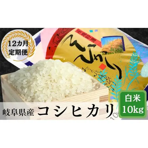 ≪令和7年産≫【12か月定期便】岐阜コシヒカリ10kg