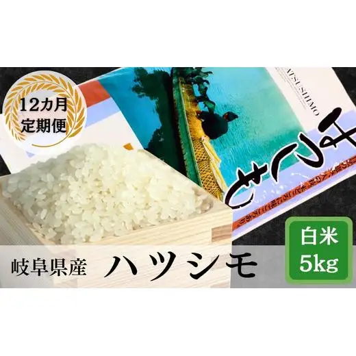 ≪令和7年産≫【12か月定期便】岐阜ハツシモ5kg
