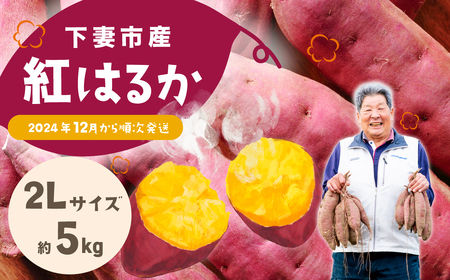 さつまいも 紅はるか 5kg 2Lサイズ 茨城県下妻市産 【 紅はるか べにはるか さつまいも サツマイモ 甘薯 かんしょ 】 