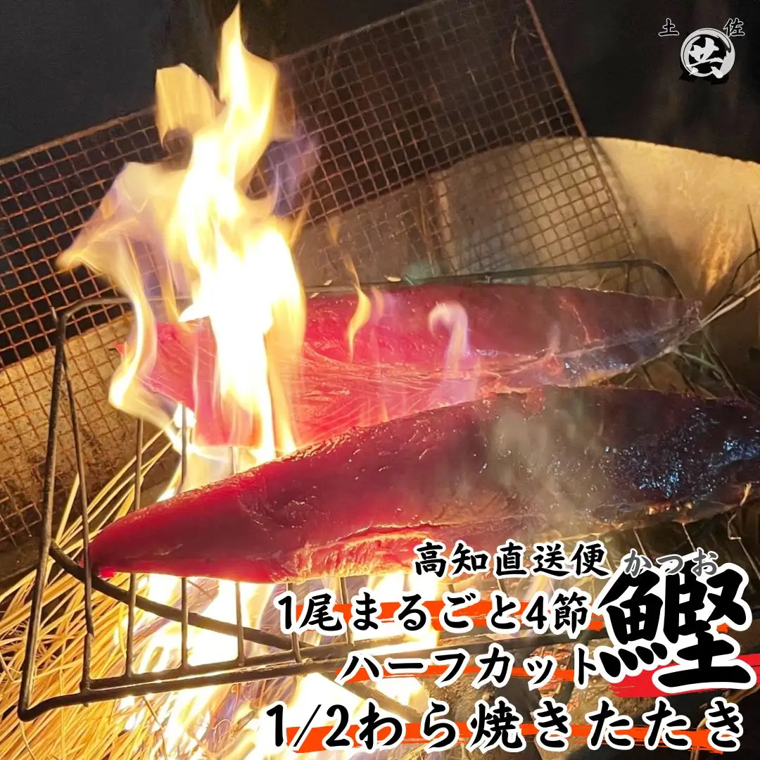 M210-2 わら焼きかつおのたたきハーフカット 　＜840～1000g＞土佐マルキョウ