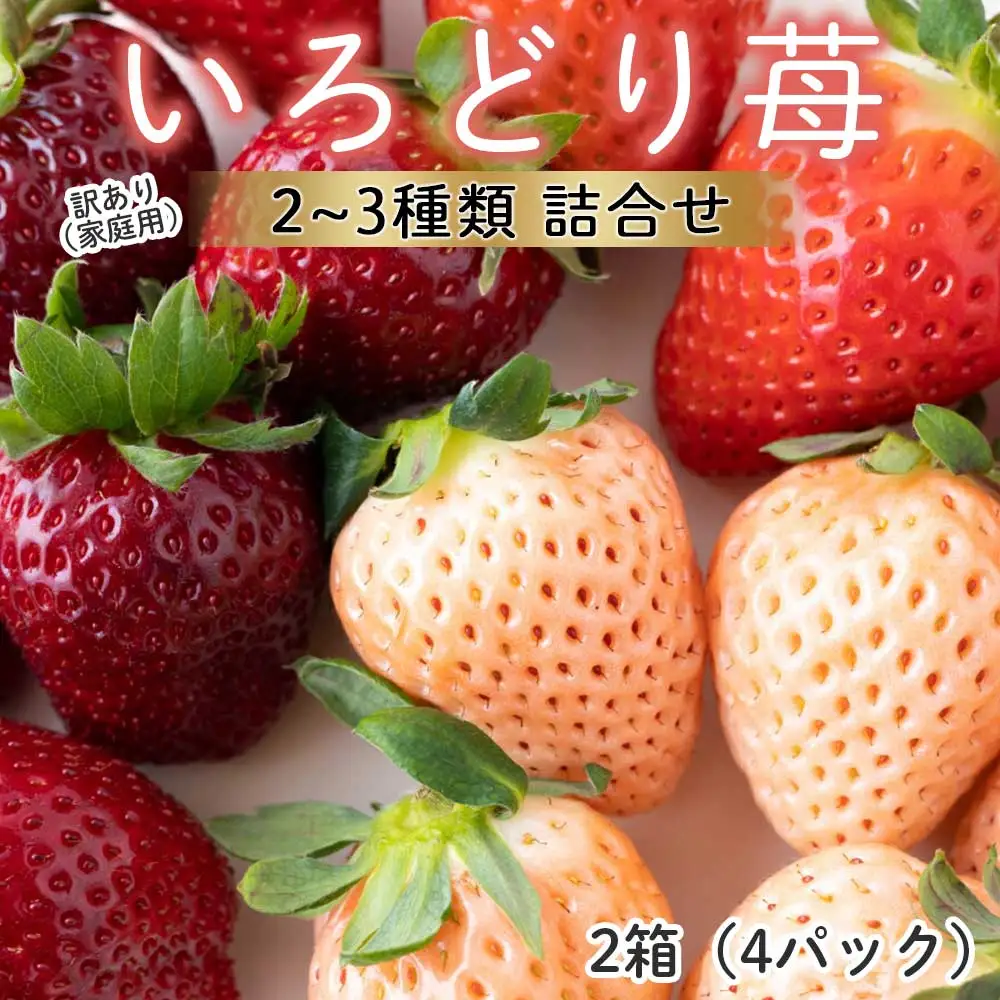 玄海町産いろどりいちご詰め合わせ（家庭用・訳あり）／ 訳ありいちご【B190】