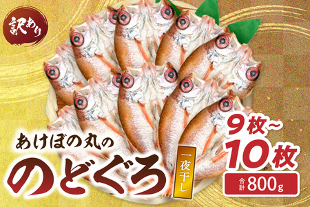 【訳あり数量限定】あけぼの丸ののどぐろ一夜干し800g（9～10枚） 【146_2036】
