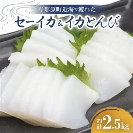 セーイカ2kg イカとんび500g お刺身用 約2.5kg【配送不可地域：離島】【1571052】