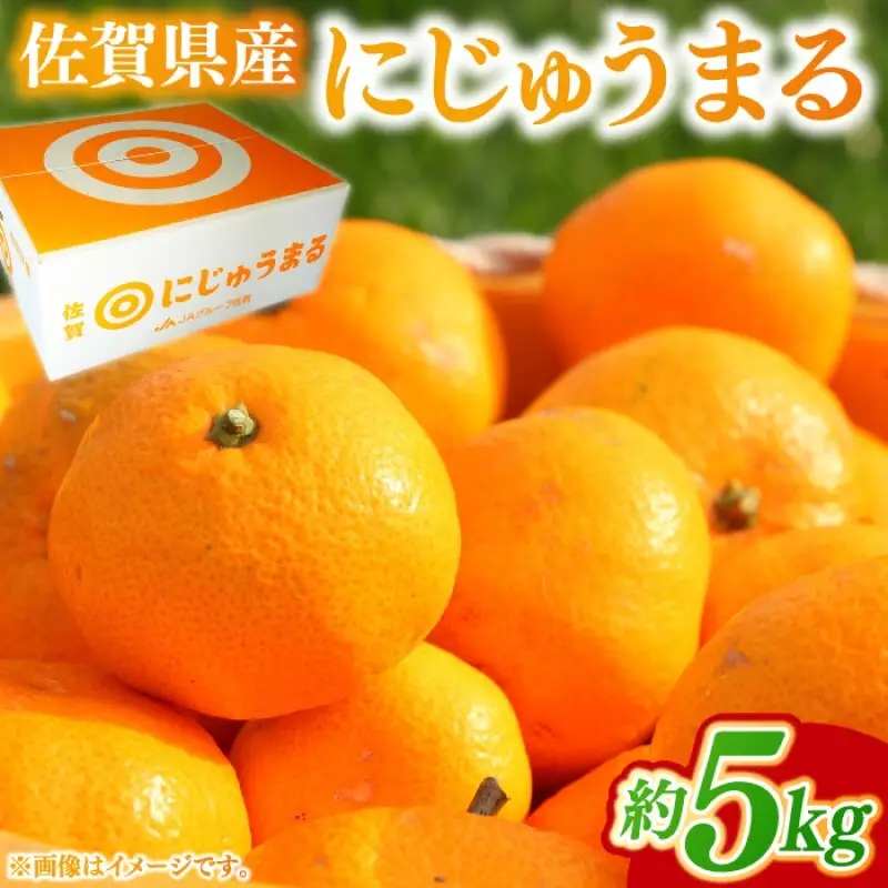 みかん 家庭用 佐賀県産 にじゅうまる 約5kg 柑橘類 ※配送不可：北海道、沖縄県、離島