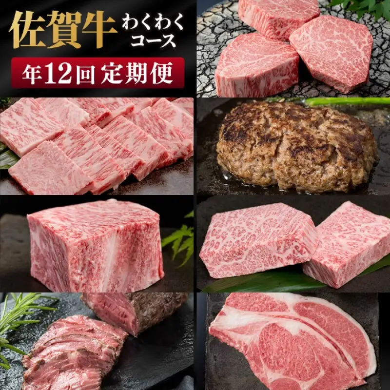 定期便 年12回 佐賀牛 わくわくコース 牛肉 肉 お肉 12回 ※配送不可：北海道、沖縄県、離島
