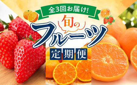 【定期便 全3回】紀州和歌山産旬のフルーツ定期便（田村みかん、いちご、なつみ）_G60-T76