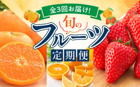 【定期便 全3回】紀州和歌山産旬のフルーツ定期便（田村みかん、いちご、紀州デコ）_G60-T78